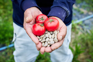 『眠れる村のおとなゼリー』が日本経済新聞・朝日新聞に掲載されました