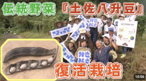 【アーカイブ公開中】「こうちeye2部」のnosson特集！